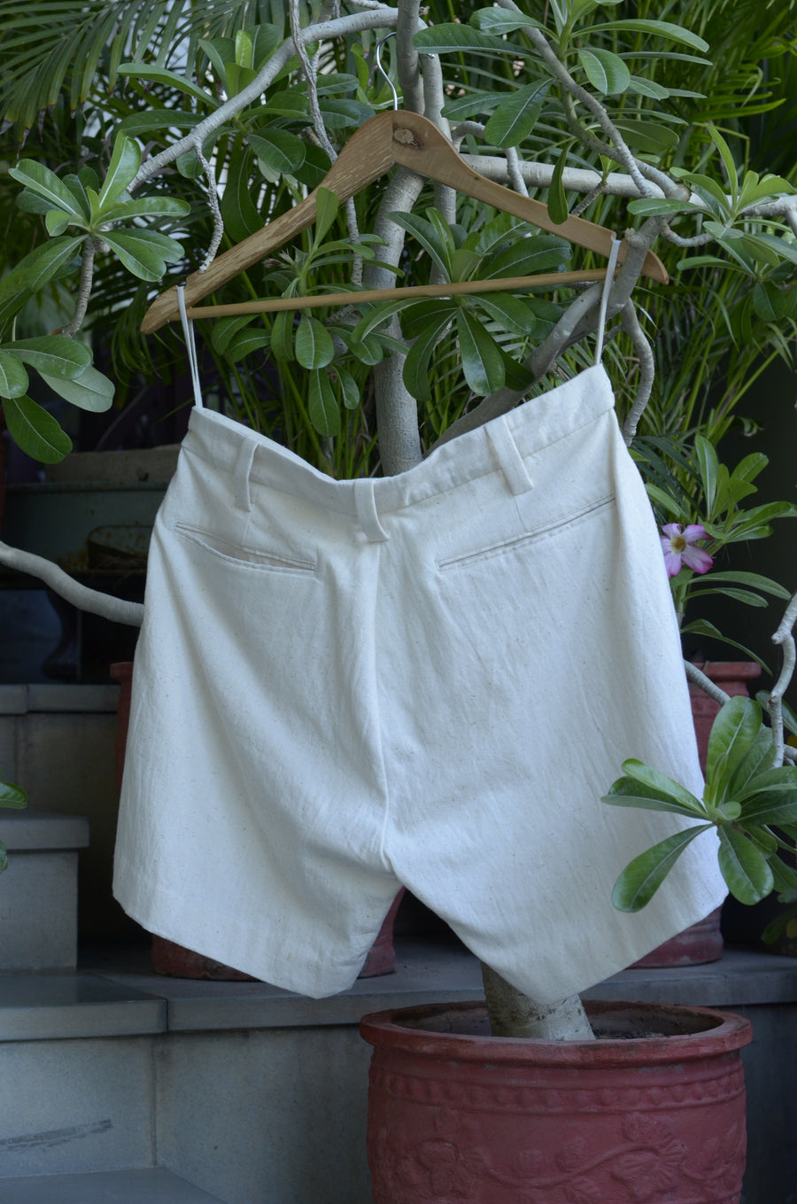 Side Bordered Cotton Shorts