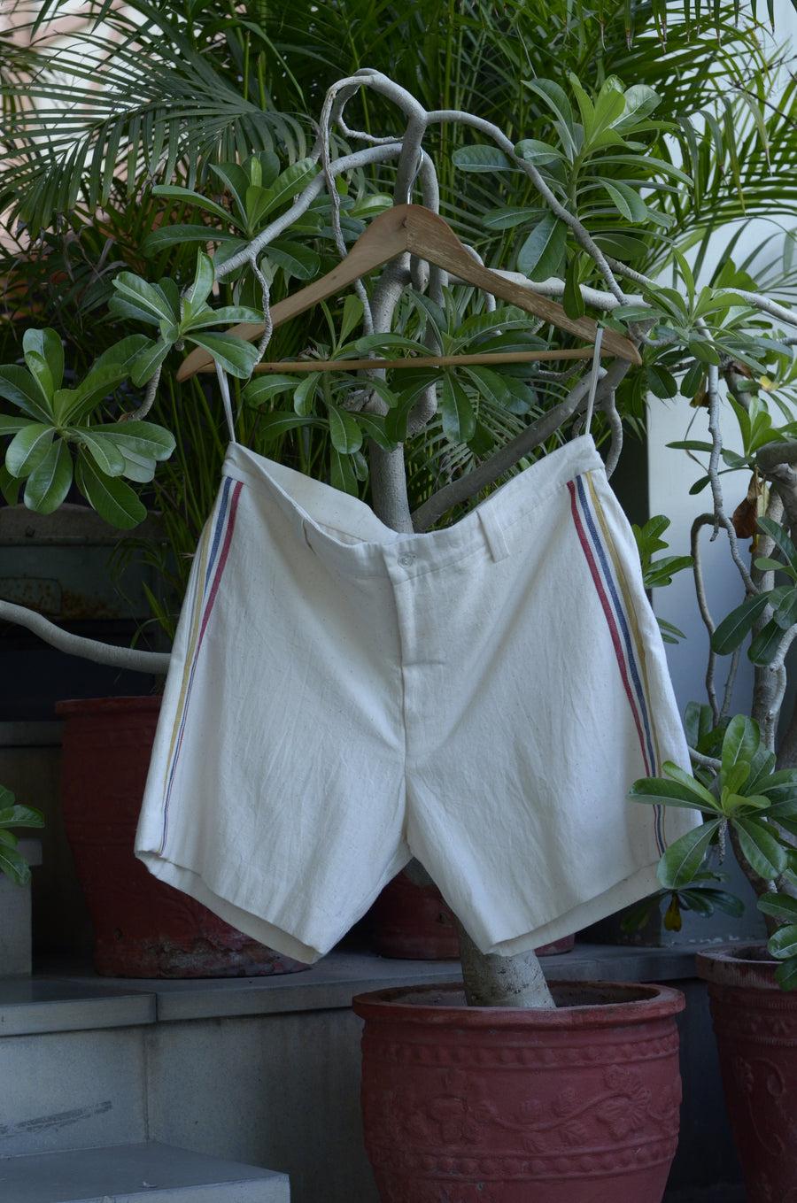 Side Bordered Cotton Shorts